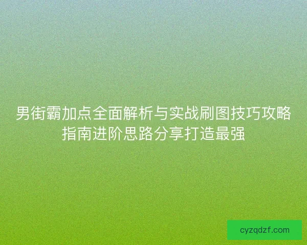 男街霸加点全面解析与实战刷图技巧攻略指南进阶思路分享打造最强